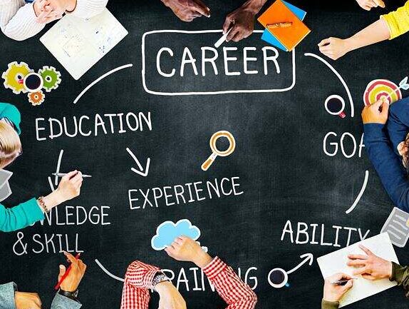 parcours professionnel