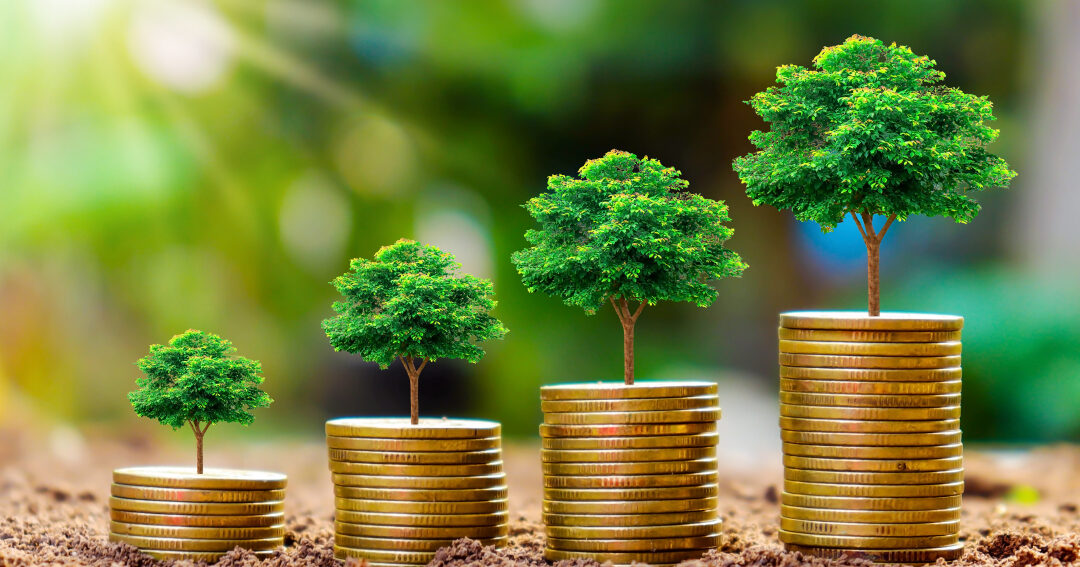 projets environnementaux