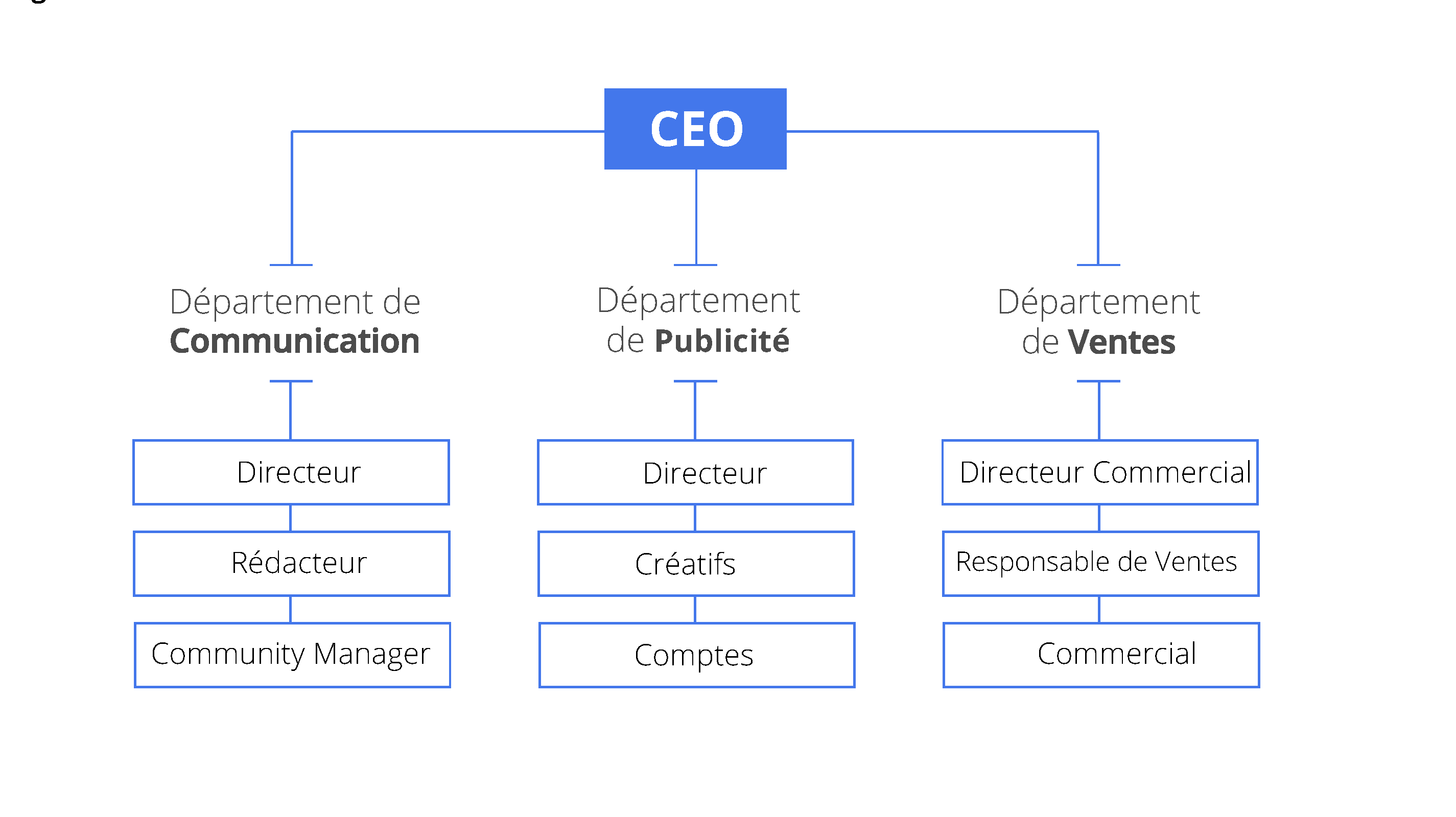 organigramme d'entreprise