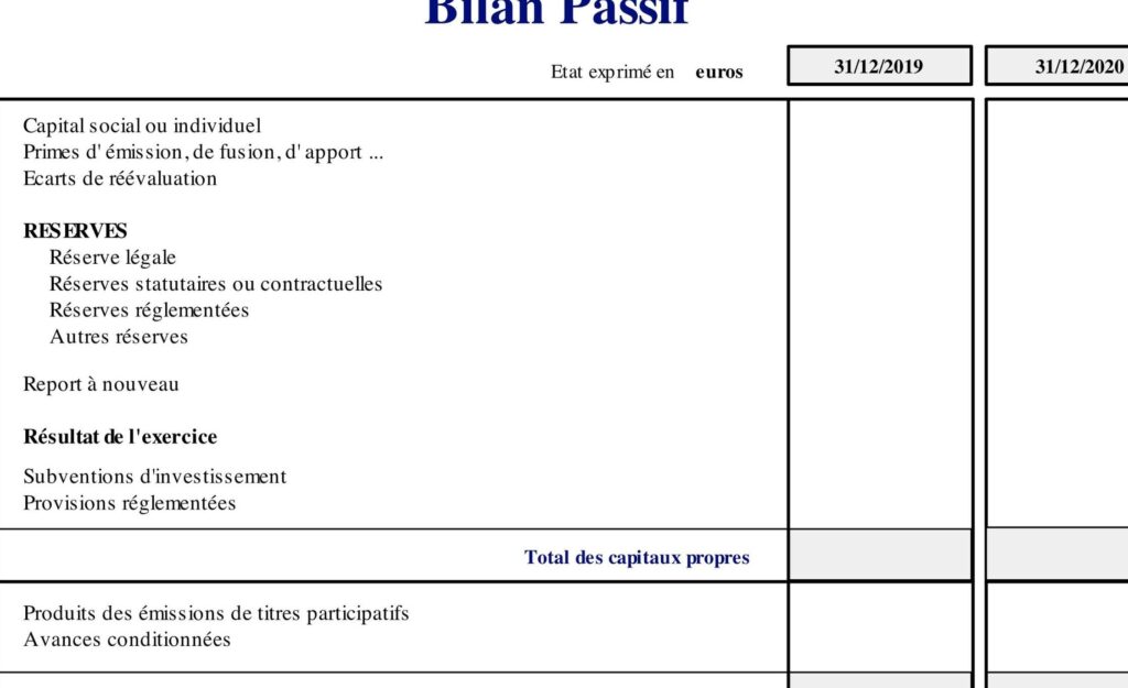 capitaux propres