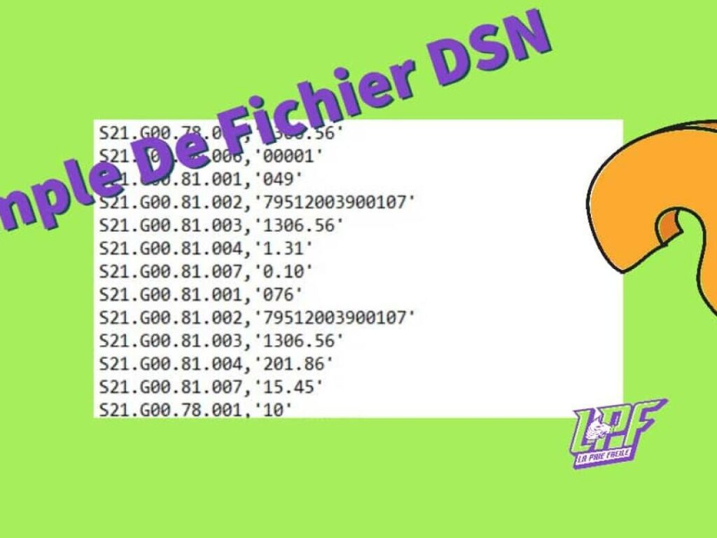 fichier DSN