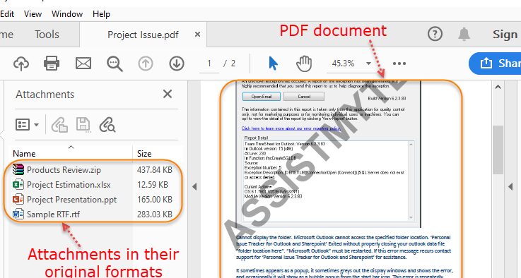 format PDF