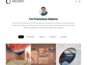 portfolios WordPress