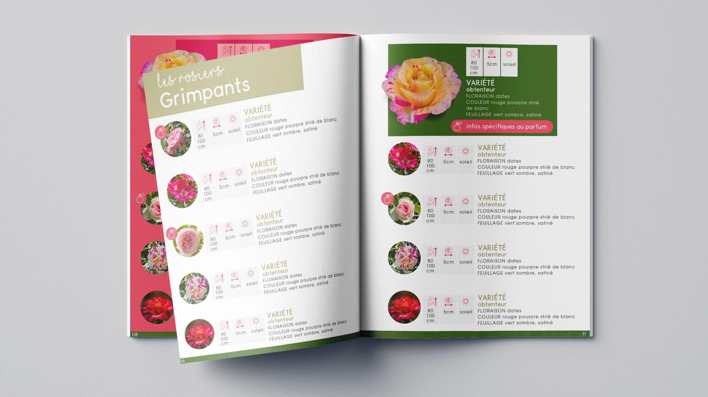 catalogue commercial