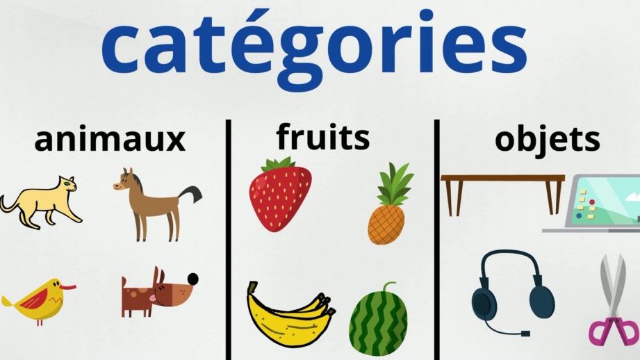 catégorie