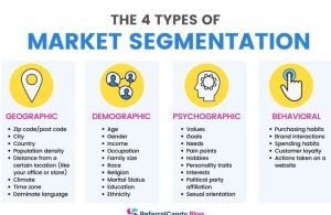 segmentation