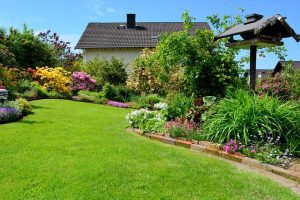 jardin