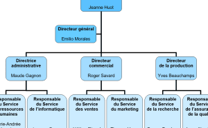 organigramme